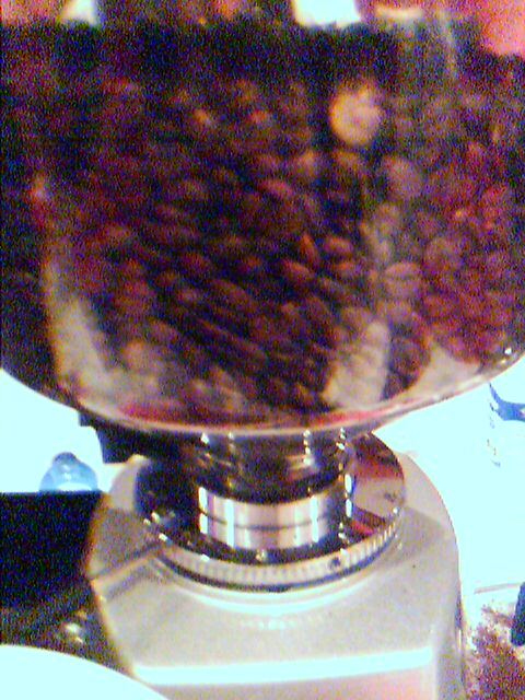 Ground coffee.jpg